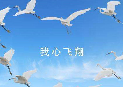 国际凯时AG优质运营商:b2能开几座的客车?