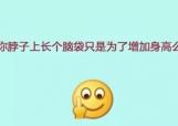 游戏大全澳门:出岛如何提前预约购票？需提前多长时间到达港口？答案都在这里→